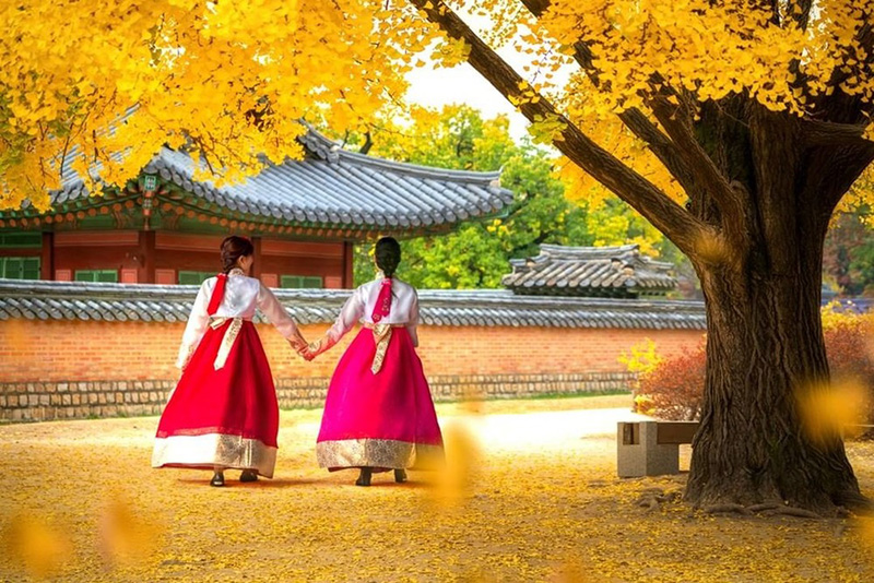 99+ hình ảnh Hàn Quốc đẹp nhất, vẻ đẹp thơ mộng qua các mùa