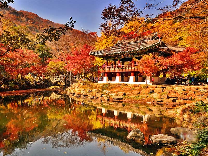 99+ hình ảnh Hàn Quốc đẹp nhất, vẻ đẹp thơ mộng qua các mùa