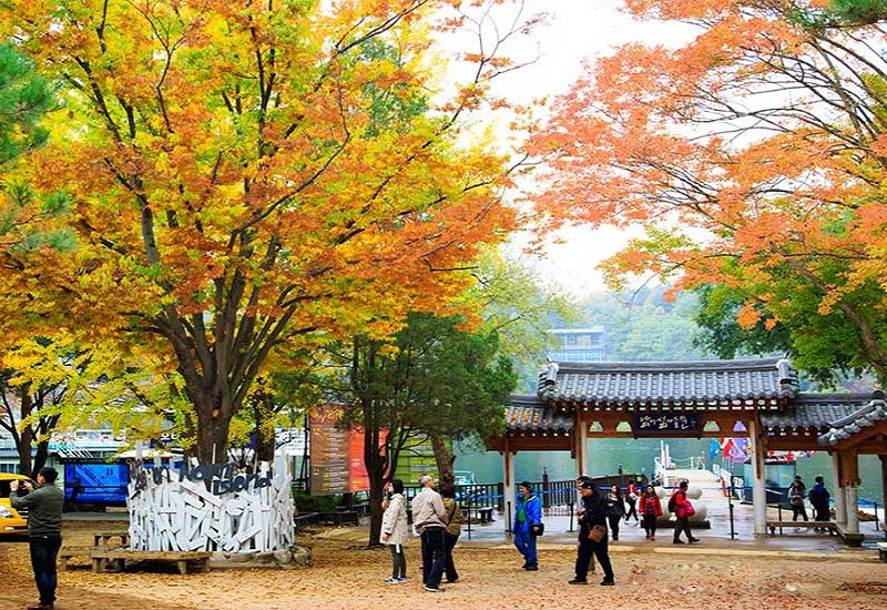 101 hình ảnh phong cảnh Hàn Quốc đẹp mê hoặc lòng người