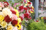 Top 10 shop hoa tươi Đồng Hới, Quảng Bình uy tín chất lượng